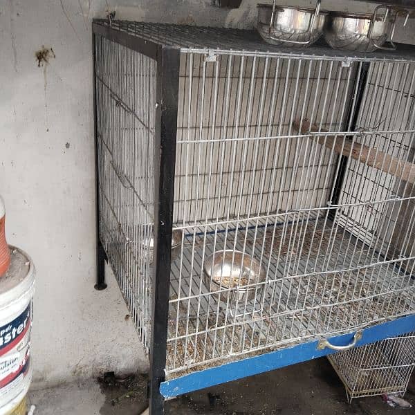 Heavy wire Cage 1