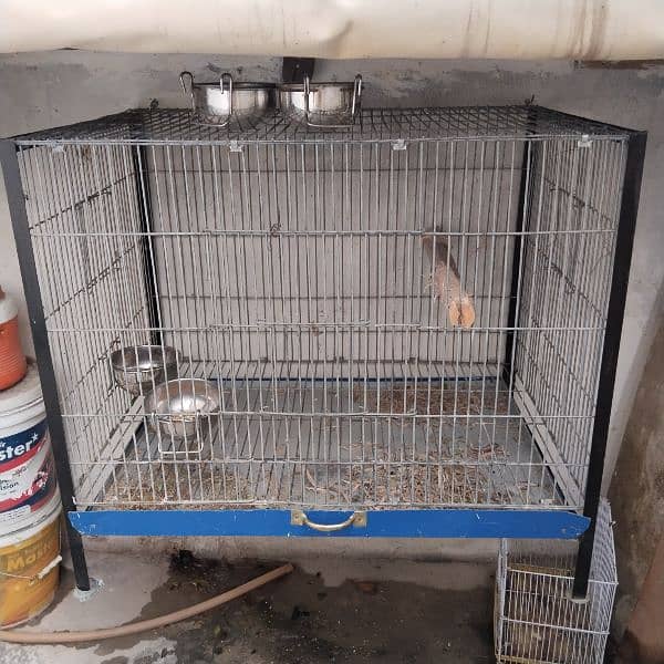 Heavy wire Cage 2