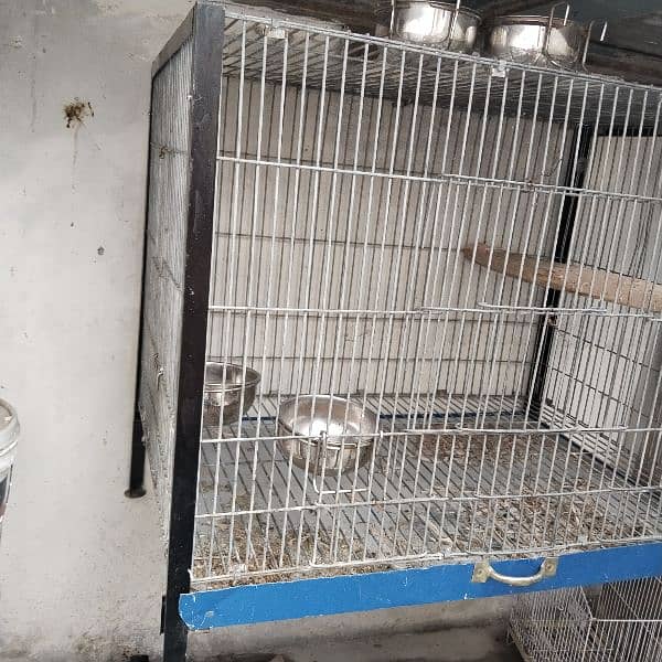 Heavy wire Cage 3