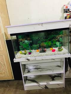 3fit brand new fish aquarium 0311/4440283