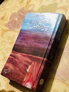 Urdu Novels