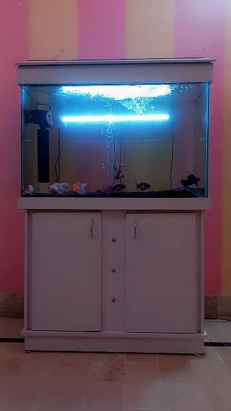 3 Ft. Aquarium in Excellent Condition 5