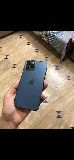 iphone 12 pro max 256 gb