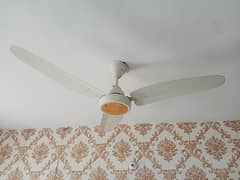 Slightly used ceiling fan 4 fans available for sale 0