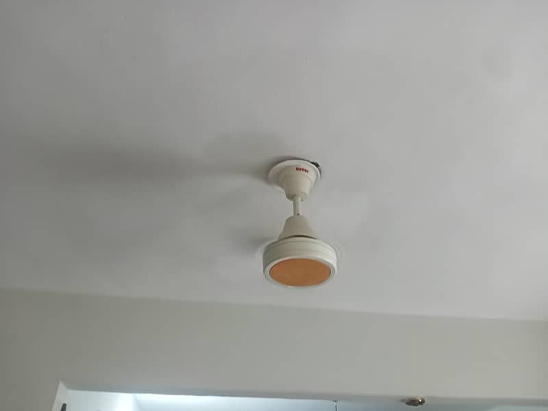 Slightly used ceiling fan 4 fans available for sale 1