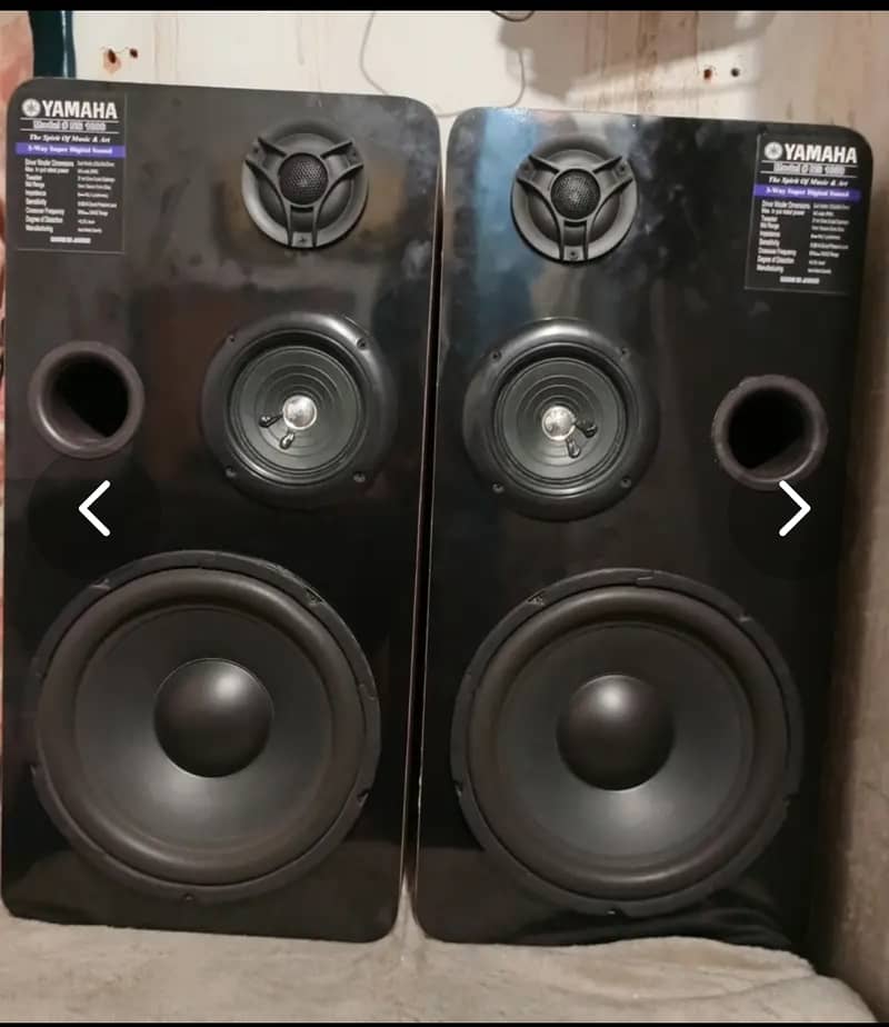 10 inch speakers very good condition 0