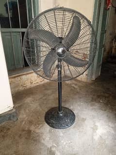 pedestal fan 24 size600mm