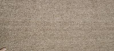 CARPET FOR SALE IN REASONABLE PRICE