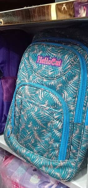 school and travels bags 19