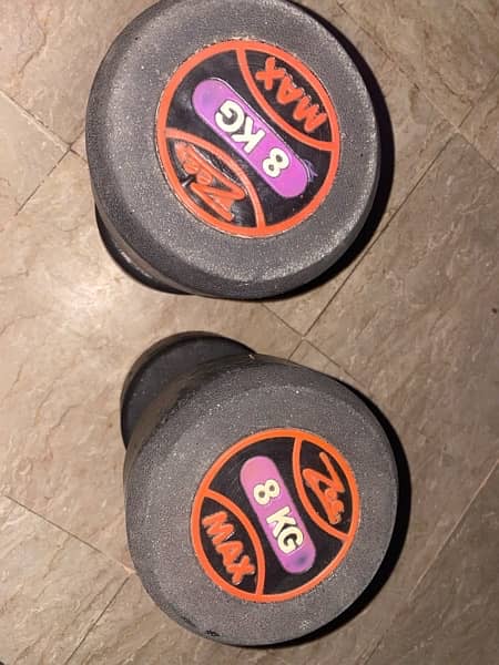 8Kg Zee Max Dumble pair for sell 0