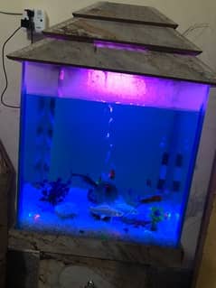 Fish aquarium for sale