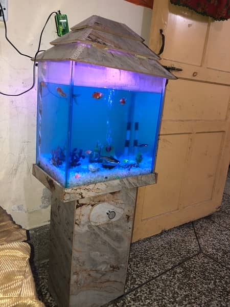 Fish aquarium for sale 5