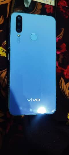 vivo