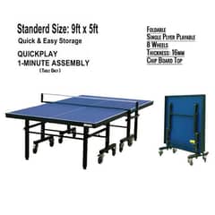 Table Tennis table and accessories