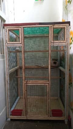 Birds cage New