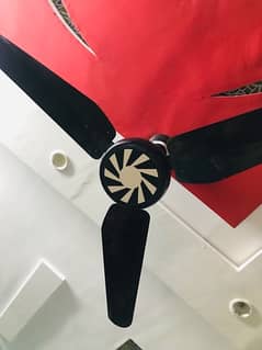 Fancy Beautiful Fan Black colour design 0