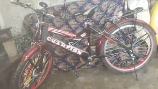 champion bicycle hai