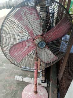 fan