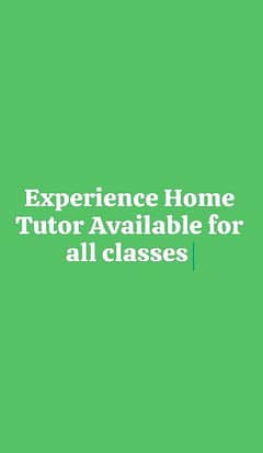 Experience Home Tutor Available