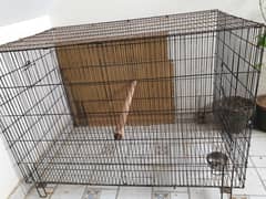 Parrot cage for sale