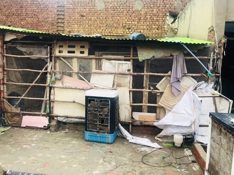 hen pigeon goat cage frame khuda pinjra for sale 2