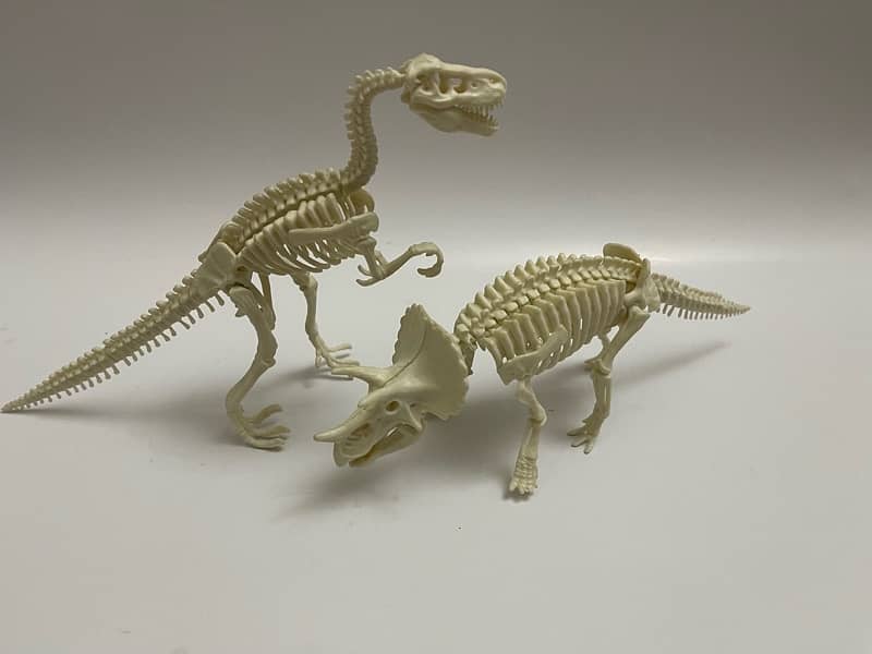 Dinosaur Skeleton Figures 1