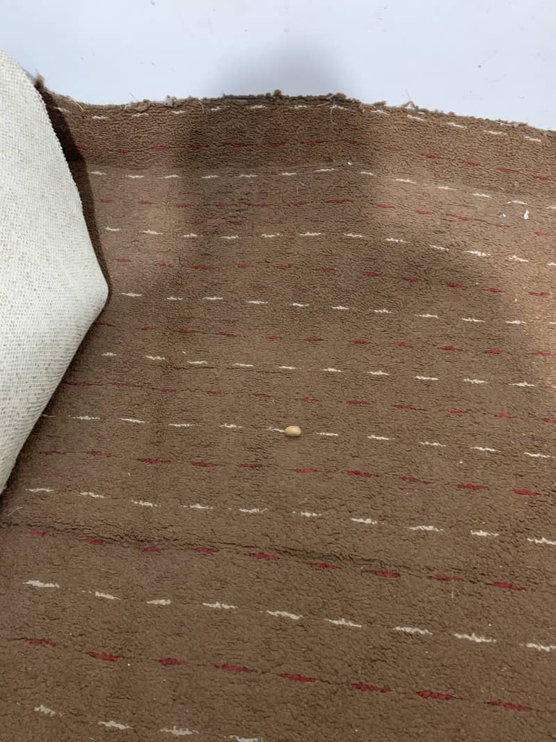 Carpet achi condition may hay 0