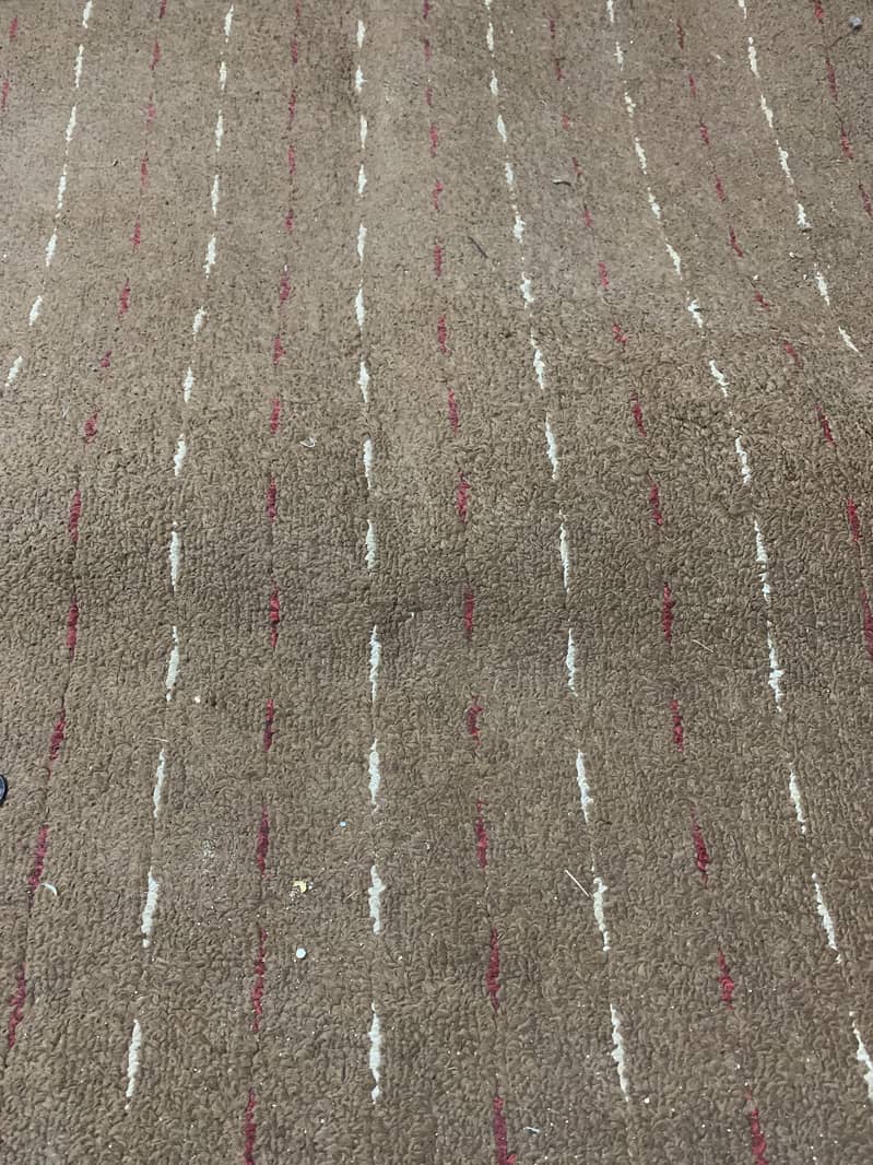 Carpet achi condition may hay 4