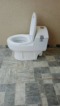 Toilet seat