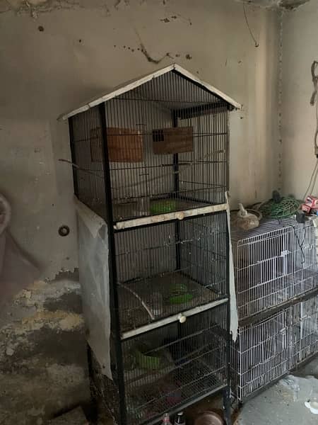 Cage for love birds and all accessories available 1