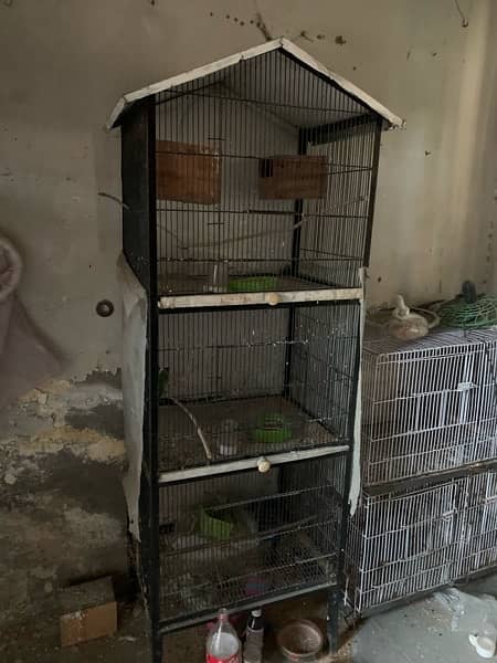 Cage for love birds and all accessories available 2