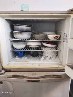 refrigerator