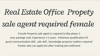 Property Sale Agent