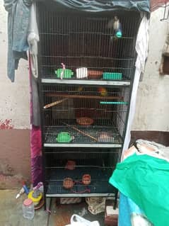 cage for sale