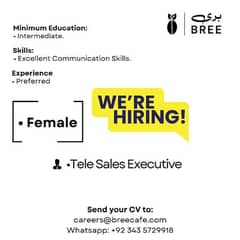 Tele Sales Executive