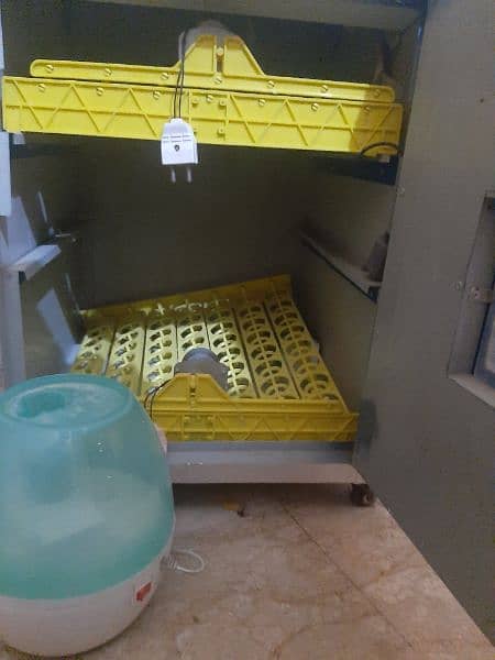 Automatic incubator 2