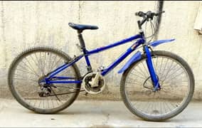 Mountain Gear Bicycle