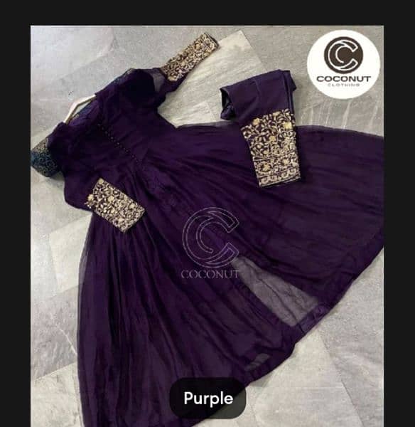 embroidered dress chiffon 2 PCs 4