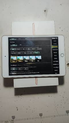 ipad mini 5 10 by 10 condition