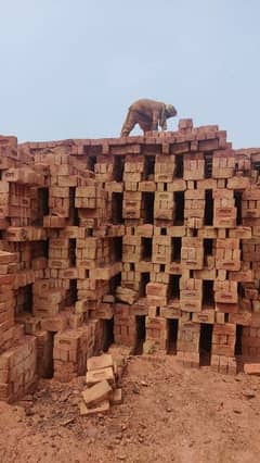 M. S Bricks Shiekhupura