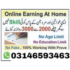 Online jobs in Pakistan_assignment writing job