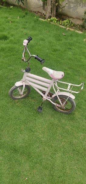 Bicycle For Kids 2