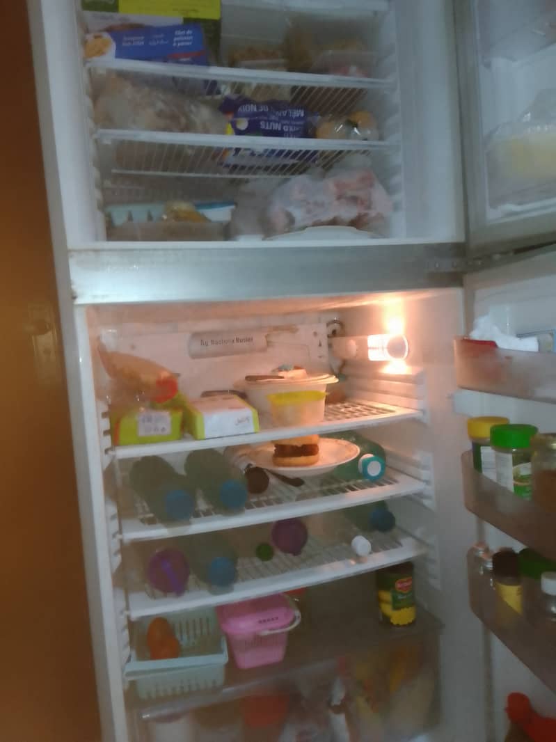 PEL REFRIGERATOR 2