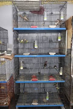 cage for sale