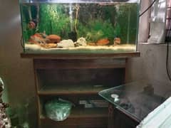 3fit Used fish Aquarium with Bookshelf and table