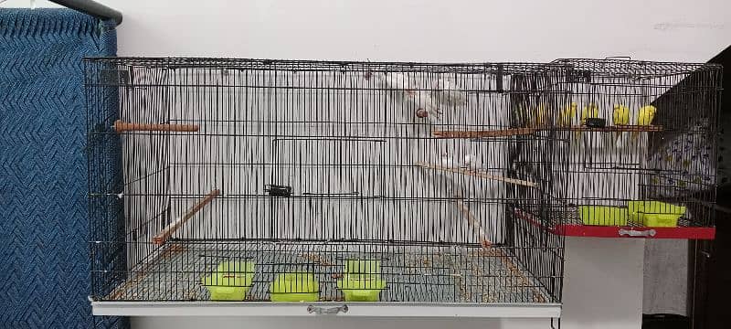 Bird's and Cage's 2