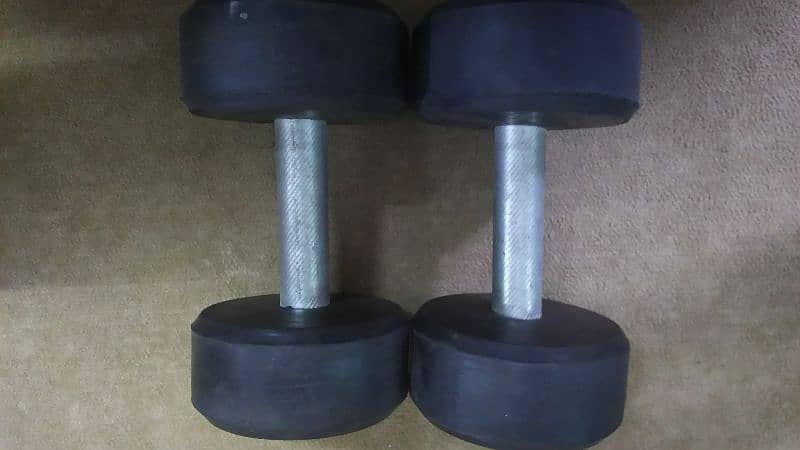 (5kg)Dumbbells 2