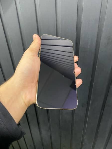 iphone 12 pro max non pta jv 128gb 2