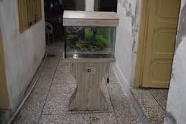 aquarium for sale