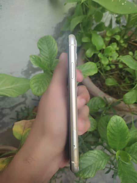 IPHONE 11 NON PTA ALL OK 3